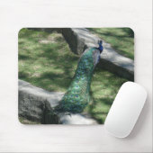 Tapis De Souris paon (Avec souris)