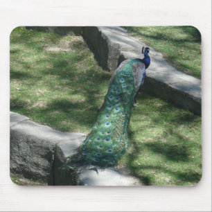Tapis De Souris paon