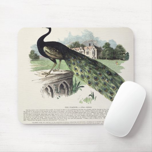 Tapis De Souris Paon (Avec souris)