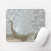 Tapis De Souris paon blanc magnifique (Avec souris)