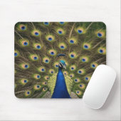 Tapis De Souris Paon Bleu (Avec souris)