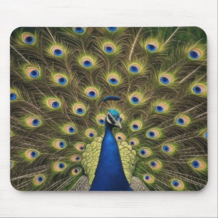 Tapis De Souris Paon Bleu