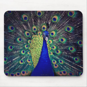Tapis De Souris Paon bleu cobalt