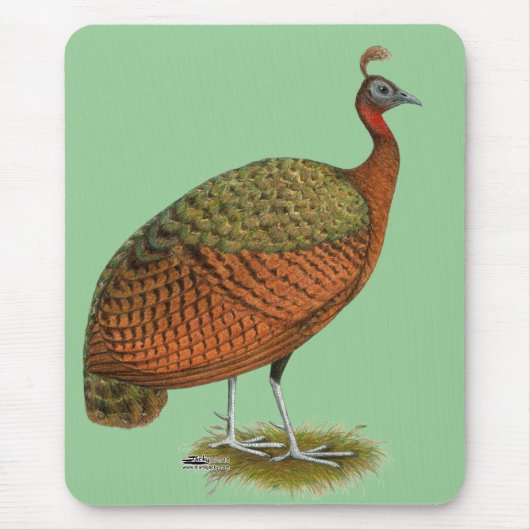 Tapis De Souris Paon : Congo Peahen (Devant)