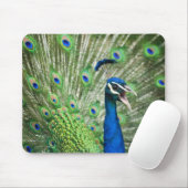 Tapis De Souris Paon criard (Avec souris)