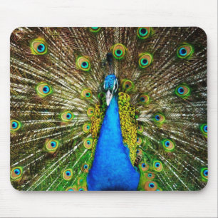 Tapis De Souris Paon Mousepad