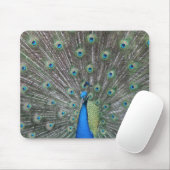 Tapis De Souris Paon Mousepad (Avec souris)