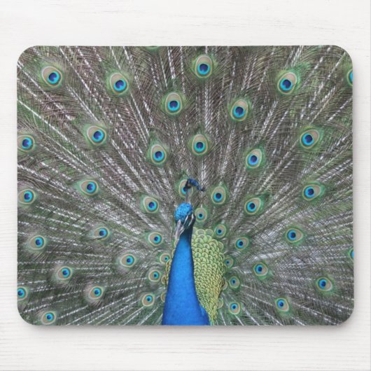 Tapis De Souris Paon Mousepad (Devant)