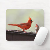 Tapis De Souris Papa et Baby Cardinal 1 (Avec souris)