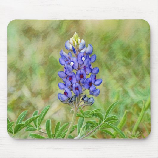 Tapis De Souris Papier à souris Texas Bluebonnet (Devant)