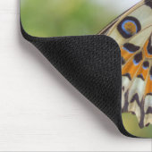 Tapis De Souris Papilio demoleus (Coin)
