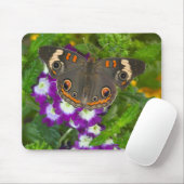 Tapis De Souris Papilio polyxenes (Avec souris)