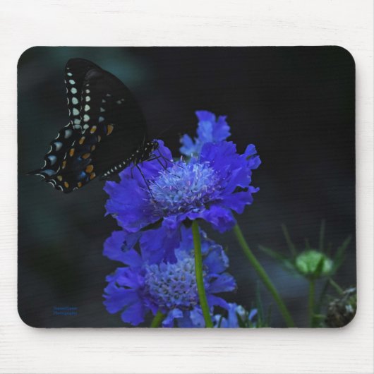 Tapis De Souris Papillon (Devant)
