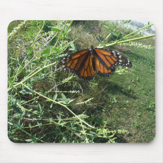 Tapis De Souris Papillon (Devant)