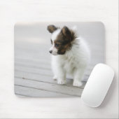 Tapis De Souris Papillon (Avec souris)