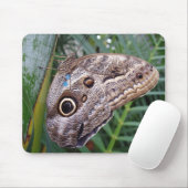 Tapis De Souris Papillon (Avec souris)