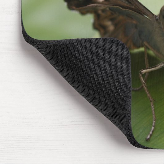 Tapis De Souris Papillon (Coin)