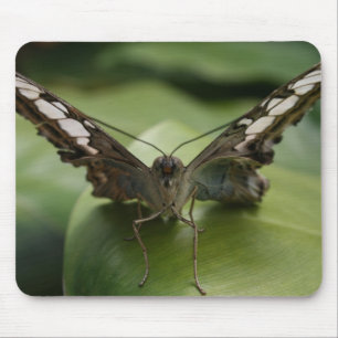 Tapis De Souris Papillon