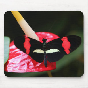 Tapis De Souris Papillon