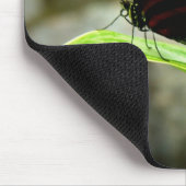 Tapis De Souris Papillon (Coin)
