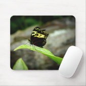 Tapis De Souris Papillon (Avec souris)