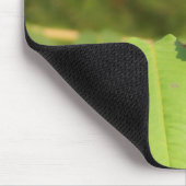 Tapis De Souris Papillon 3D (Coin)