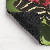 Tapis De Souris Papillon à ailes longues Zebra, Heliconius (Coin)