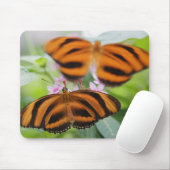 Tapis De Souris Papillon à longue aile Zebra 2 (Avec souris)