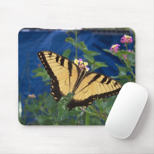 Tapis De Souris Papillon à queue noire et jaune (Avec souris)