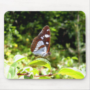 Tapis de souris Papillon Amiral Blanc du Sud