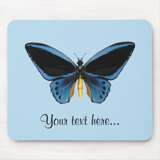 Tapis De Souris Papillon Birdwing (Devant)