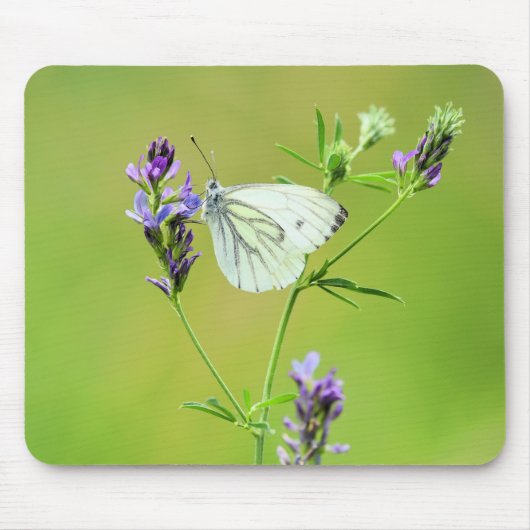Tapis De Souris Papillon blanc à veines vertes (Devant)