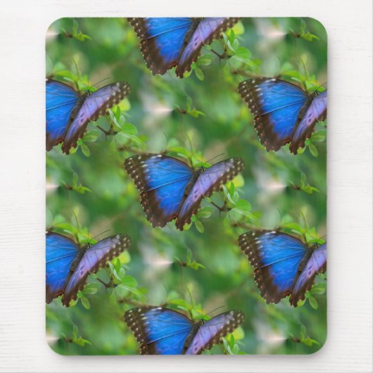 Tapis De Souris Papillon bleu (Devant)