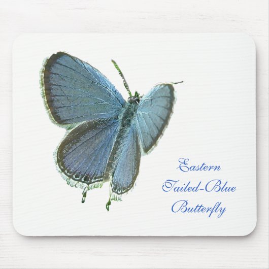 Tapis De Souris Papillon bleu à queue orientale (Devant)