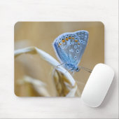 Tapis De Souris papillon, bleu commun, insecte (Avec souris)