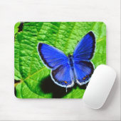 Tapis De Souris Papillon bleu Mousepad (Avec souris)