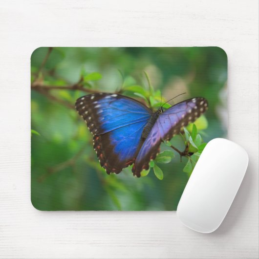 Tapis De Souris Papillon bleu Mousepad de Morpho (Avec souris)