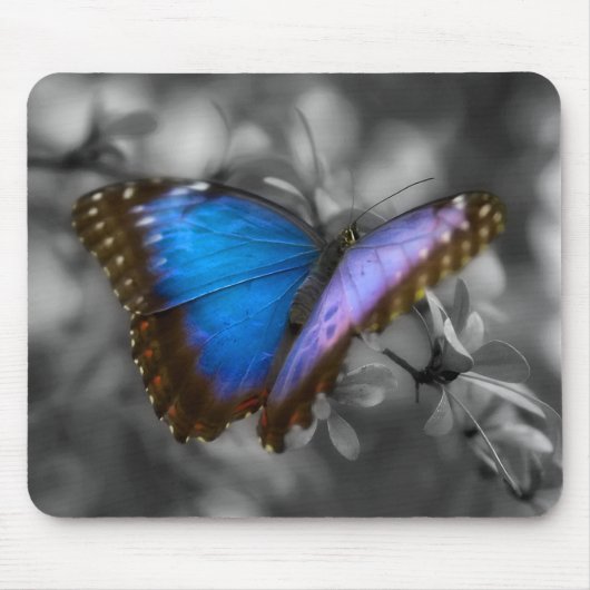 Tapis De Souris Papillon bleu pourpre (Devant)