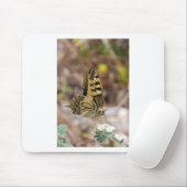 Tapis De Souris Papillon Brun et Blanc (Avec souris)