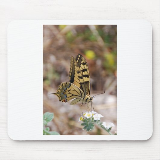 Tapis De Souris Papillon Brun et Blanc (Devant)