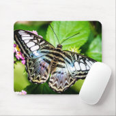 Tapis De Souris Papillon Clipper Bleu (Avec souris)