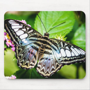 Tapis De Souris Papillon Clipper Bleu