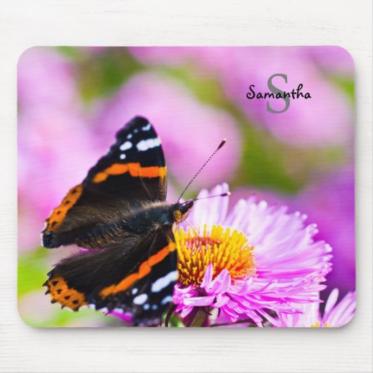 Tapis De Souris Papillon de l'amiral rouge sur fleur Mouse mat (Devant)