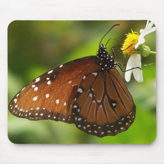 Tapis De Souris Papillon de monarque (Devant)