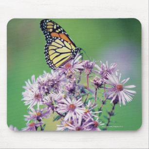 Tapis De Souris Papillon de monarque