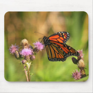 Tapis De Souris Papillon de monarque