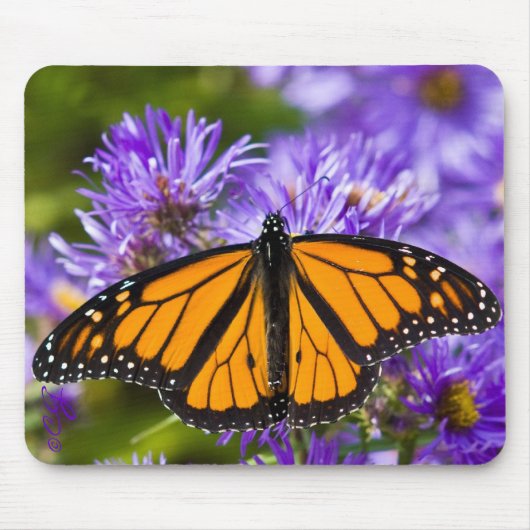 Tapis De Souris Papillon de monarque de Mousepad sur les asters (Devant)