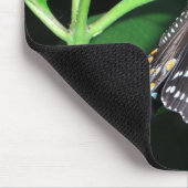 Tapis De Souris Papillon de nuit noir Swallowtail à Shenandoah (Coin)