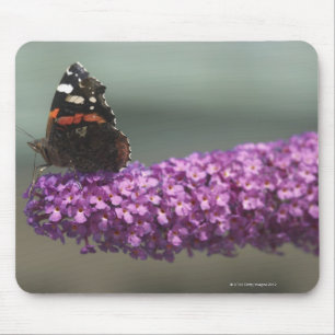 Tapis De Souris Papillon de paon sur la fleur