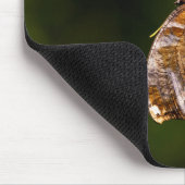 Tapis De Souris Papillon de point d'interrogation (Coin)
